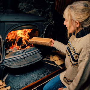 Best Wood Burning Stove