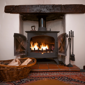 Best Wood Burning Stove