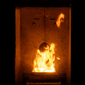 Best Wood Burning Stove