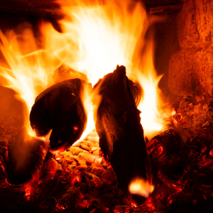 Best Wood Burning Stove